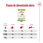 Royal Canin X-Small Ageing 12+ Adult pienso para perros, , large image number null